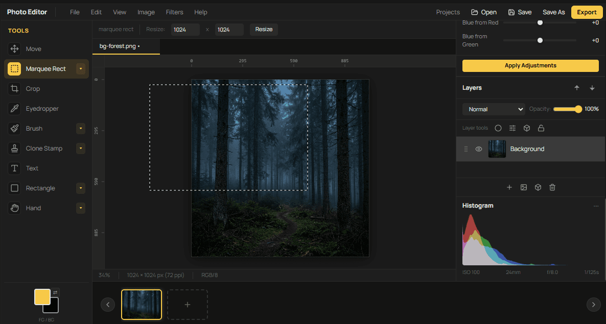 DawnDesk photo editor with marquee selection tools